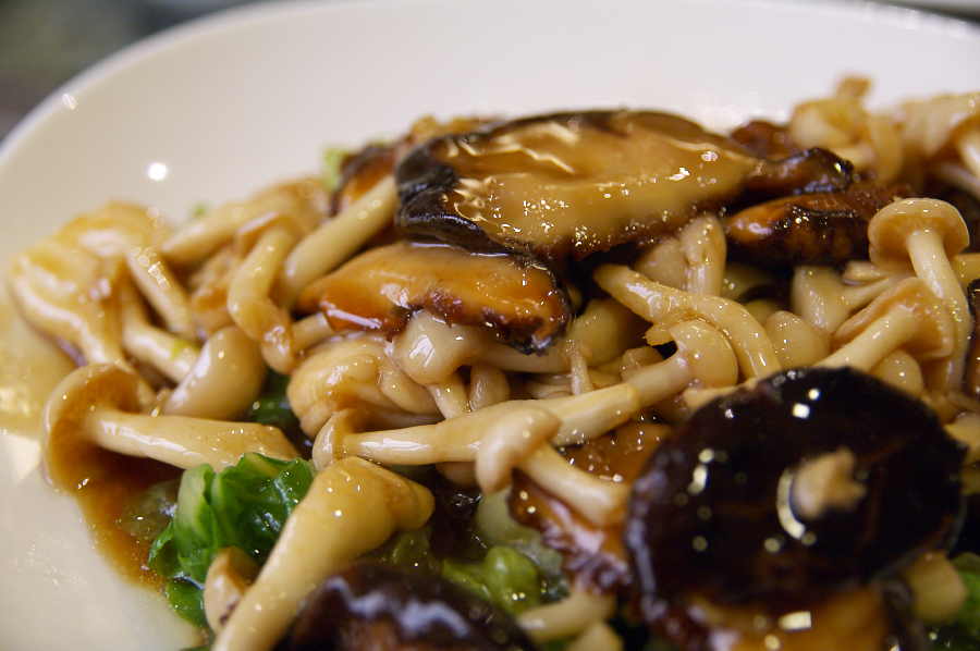 IMGP0134.jpg(666645 byte)