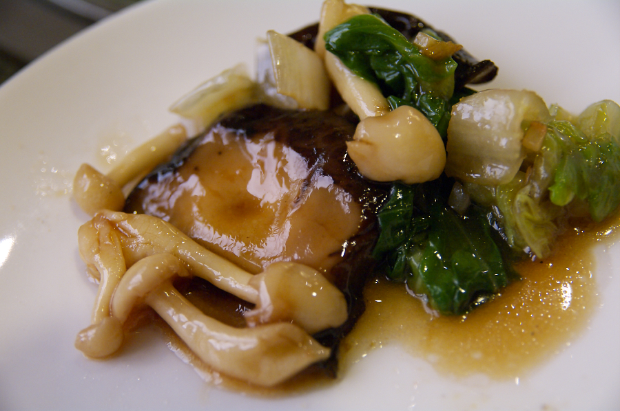 IMGP0143.jpg(641998 byte)