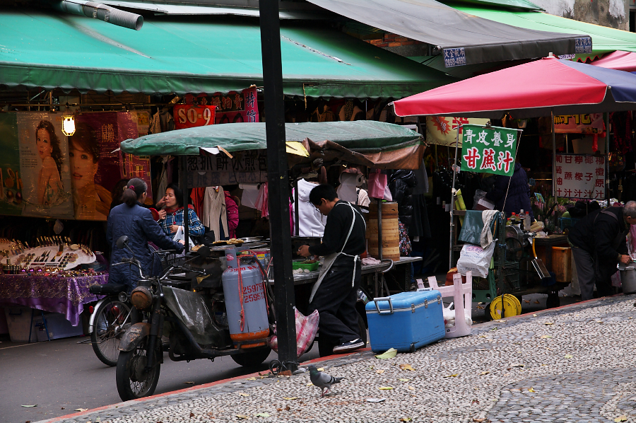 IMGP0193.jpg(915543 byte)