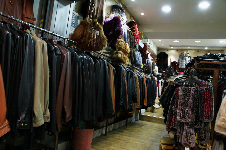 IMGP0209.jpg(808582 byte)