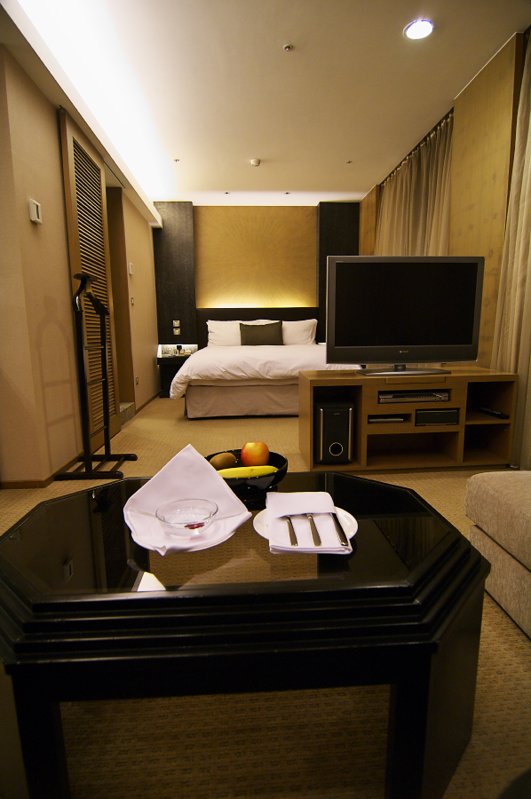 IMGP0290.jpg(678993 byte)