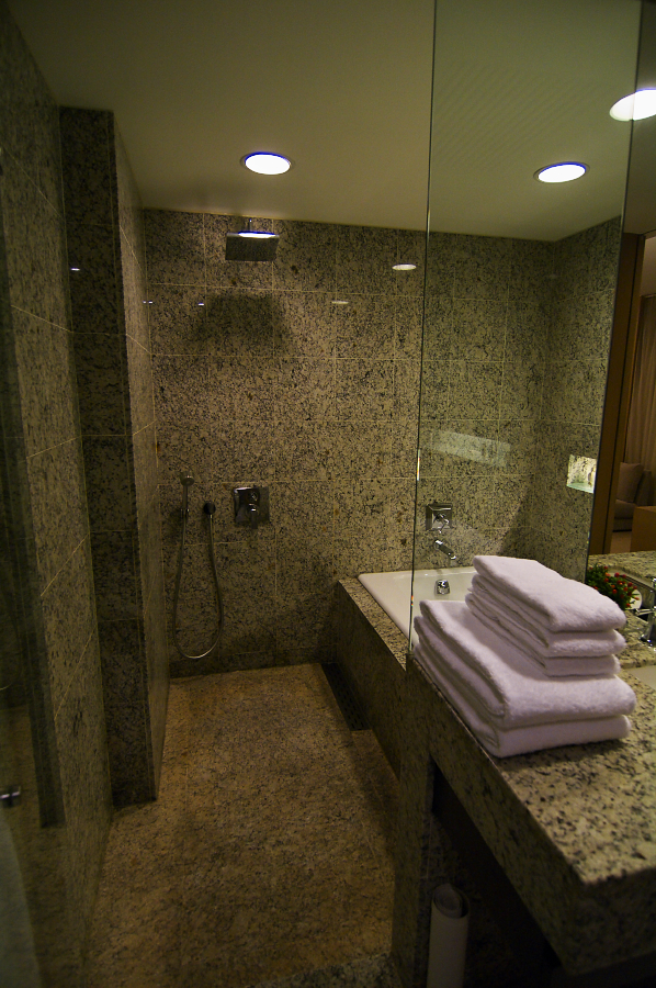 IMGP0296.jpg(842319 byte)