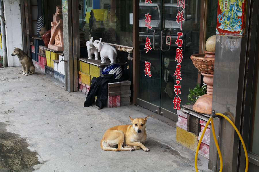 IMGP0022.jpg(755239 byte)