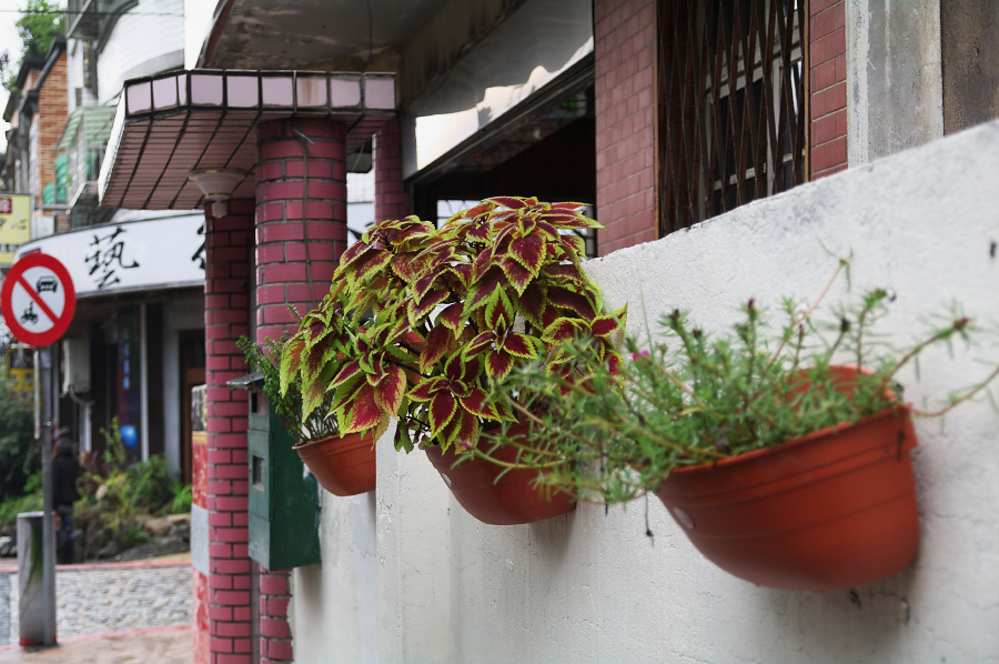 IMGP0115.jpg(693208 byte)