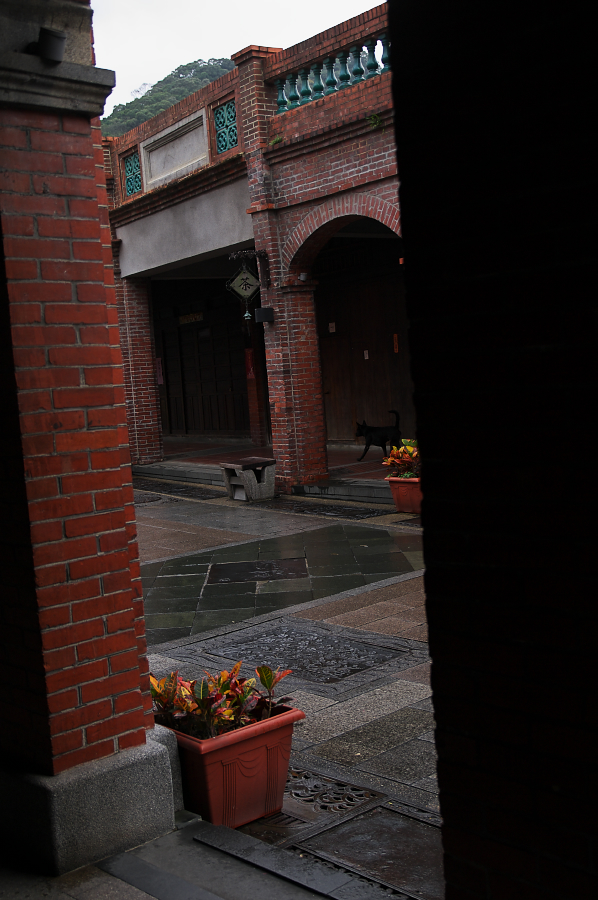 IMGP0187.jpg(590122 byte)