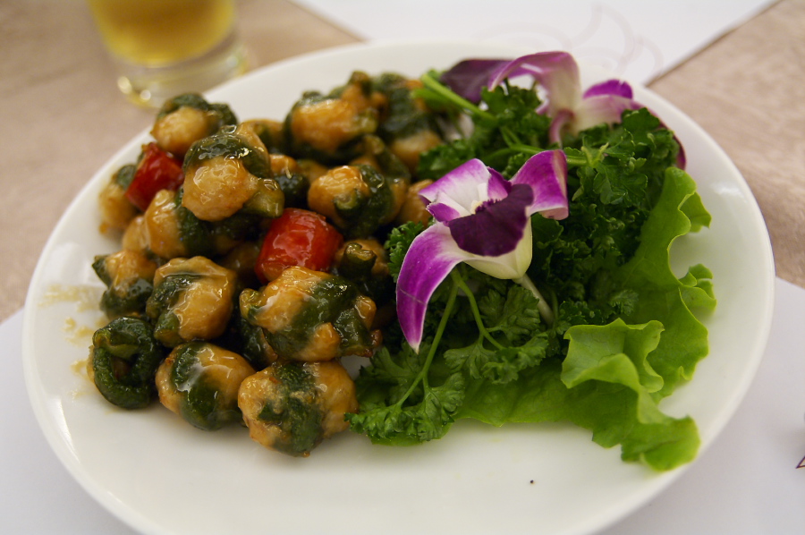 IMGP0366.jpg(250232 byte)