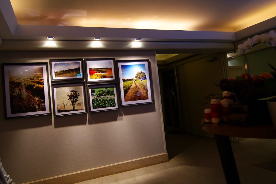 IMGP0043.jpg(588379 byte)