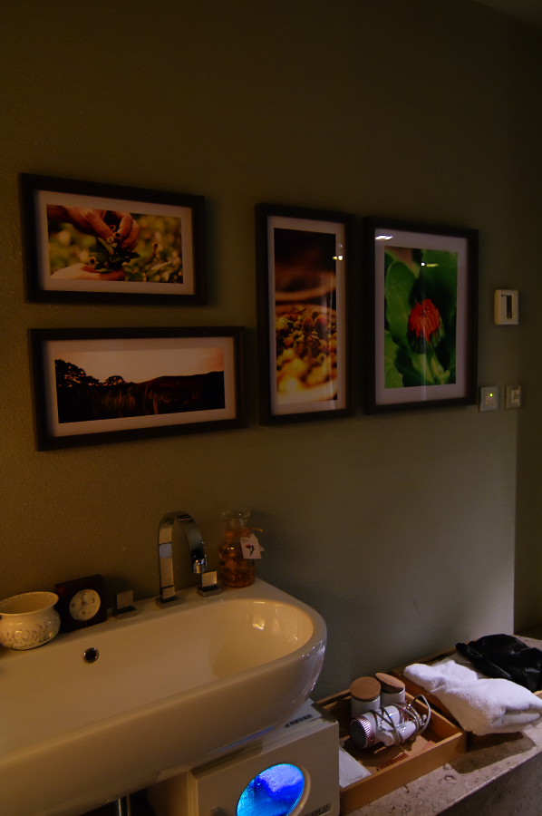 IMGP0055.jpg(500472 byte)