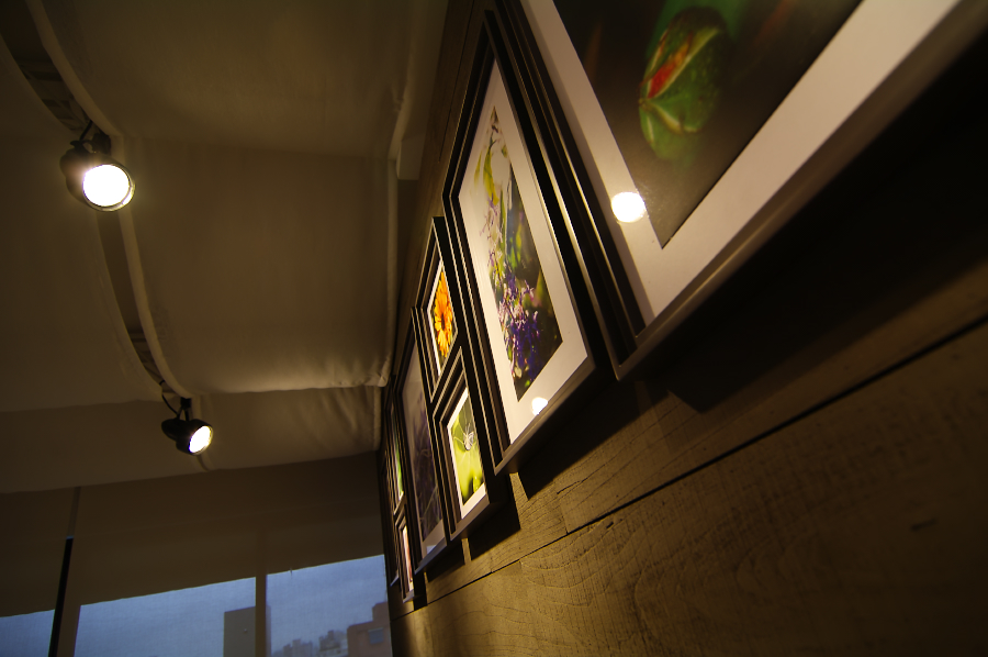 IMGP0078.jpg(415739 byte)