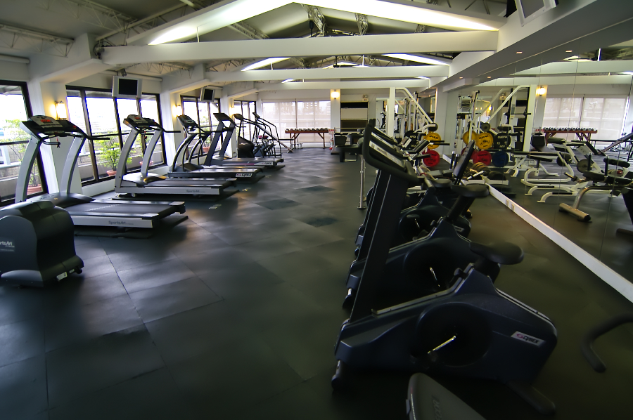 IMGP0087.jpg(543172 byte)