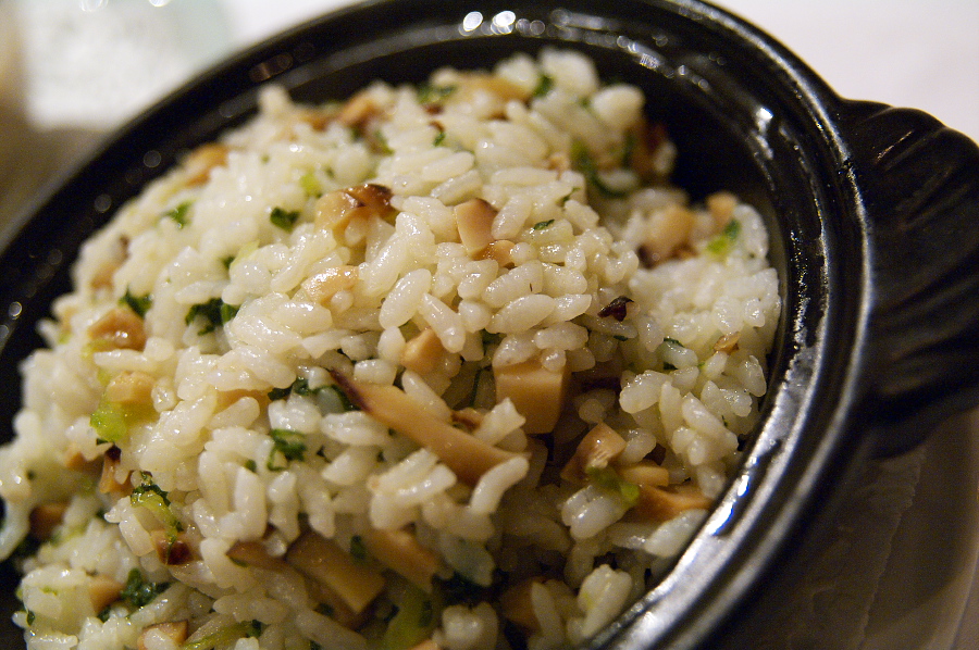 IMGP0138.jpg(401324 byte)