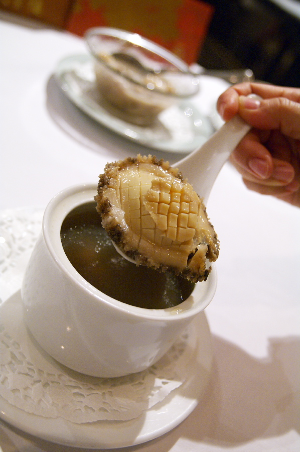 IMGP0141.jpg(301013 byte)