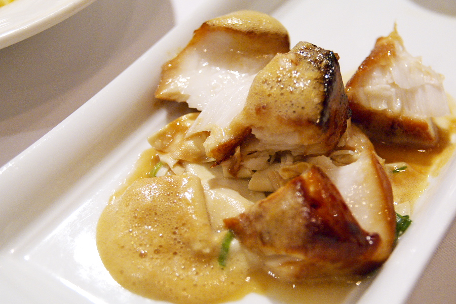 IMGP0188.jpg(355805 byte)