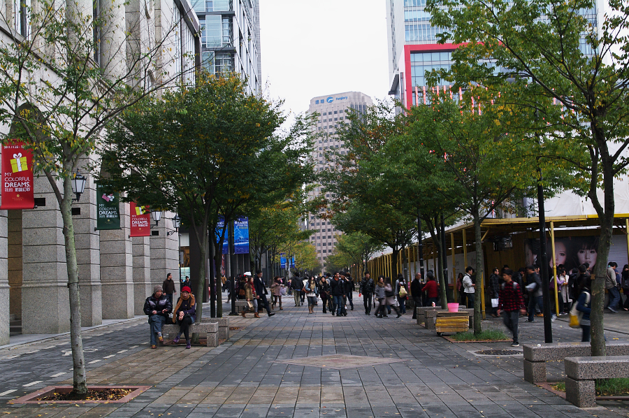 IMGP0240.jpg(1103936 byte)