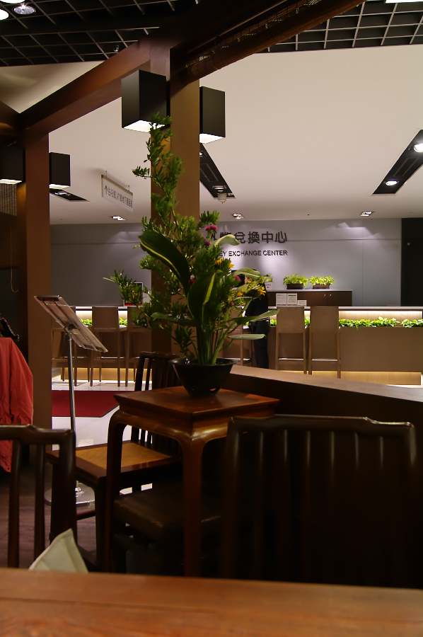 IMGP0290.jpg(459807 byte)