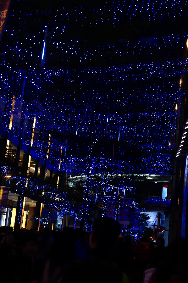 IMGP0328.jpg(971388 byte)