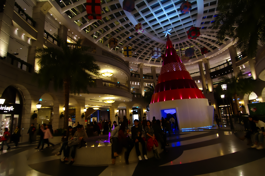 IMGP0417.jpg(646549 byte)