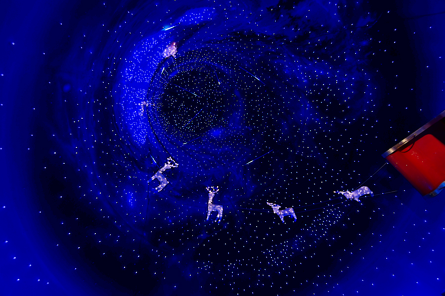 IMGP0421.jpg(810020 byte)