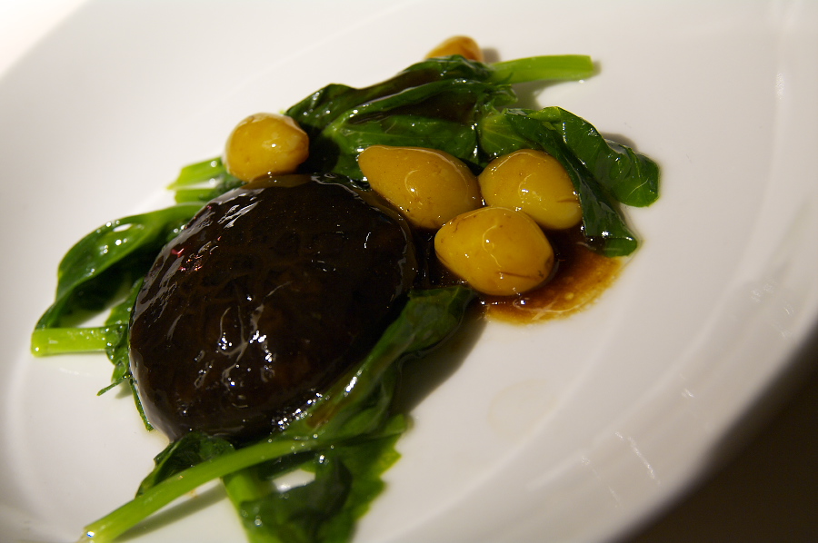 IMGP0053.jpg(211824 byte)