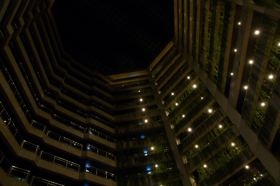 IMGP0079.jpg(282408 byte)