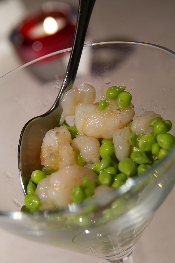 IMGP0448.jpg(219350 byte)