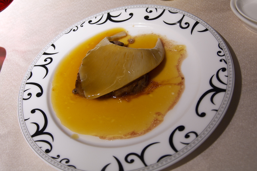 IMGP0462.jpg(256355 byte)