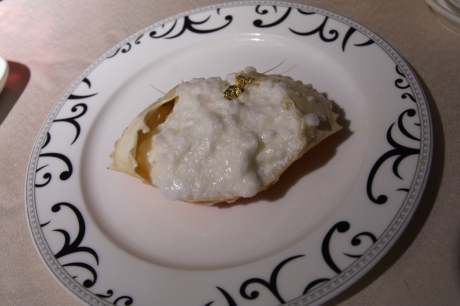 IMGP0481.jpg(240417 byte)