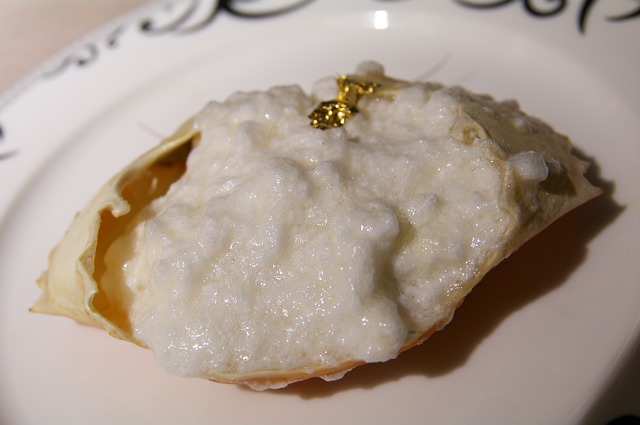 IMGP0483.jpg(196927 byte)