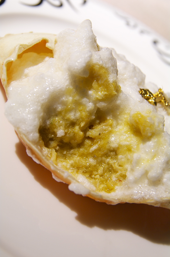 IMGP0489.jpg(230448 byte)