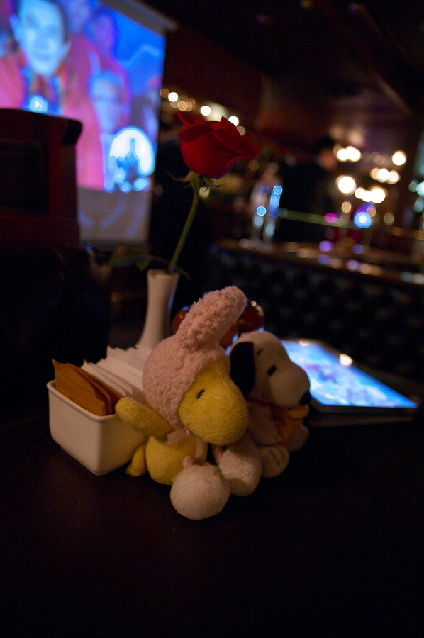 IMGP0014.jpg(272656 byte)