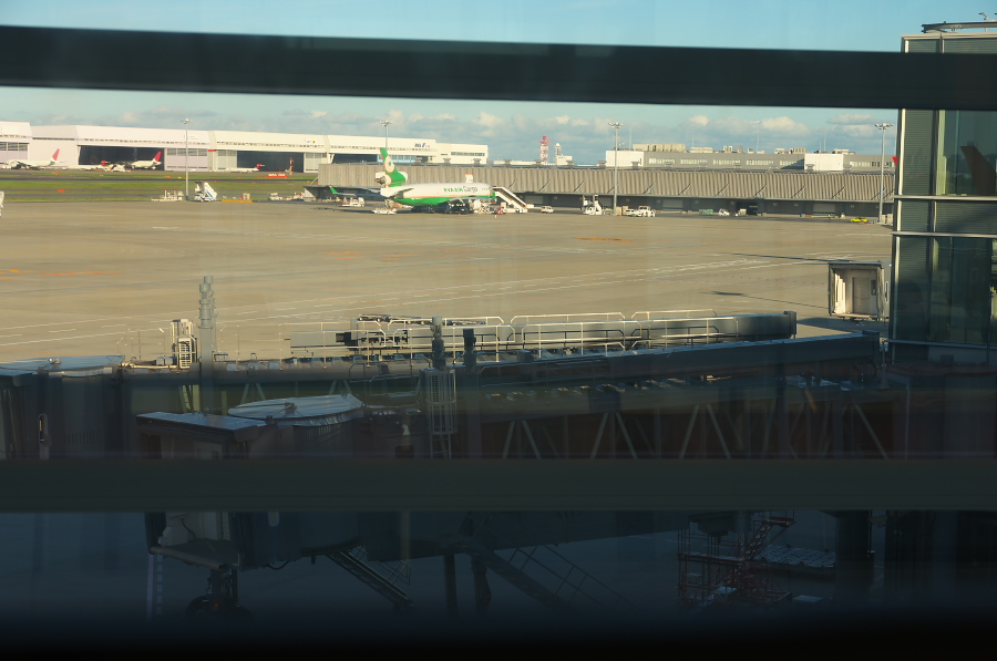 IMGP6642.jpg(209375 byte)