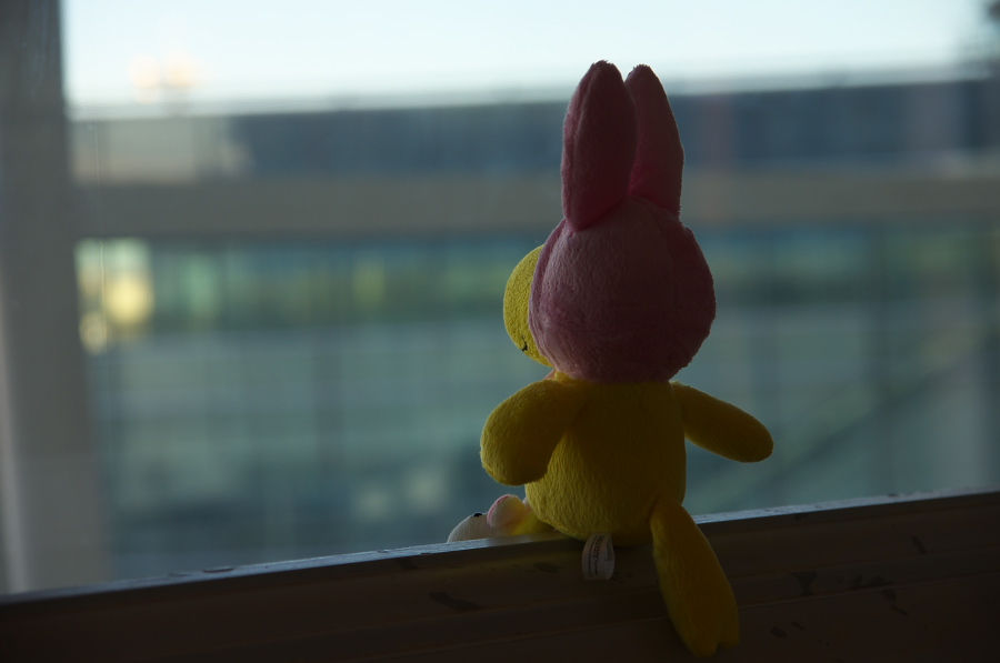 IMGP6645.jpg(130300 byte)