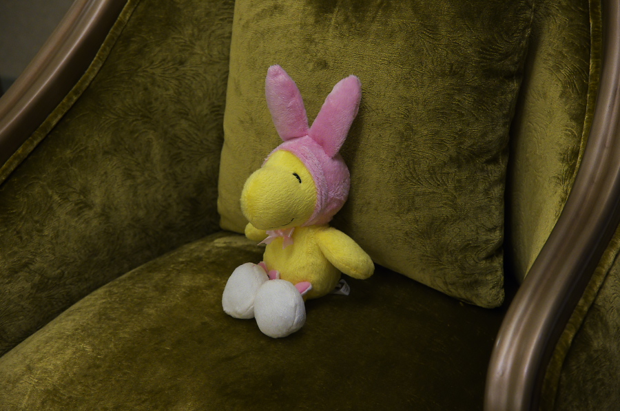 IMGP7080.jpg(308921 byte)