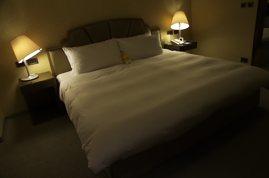 IMGP7086.jpg(141629 byte)