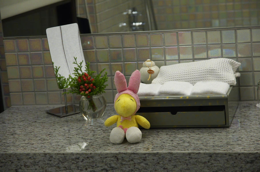 IMGP7092.jpg(318256 byte)