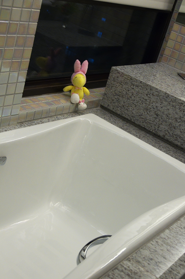 IMGP7096.jpg(257700 byte)