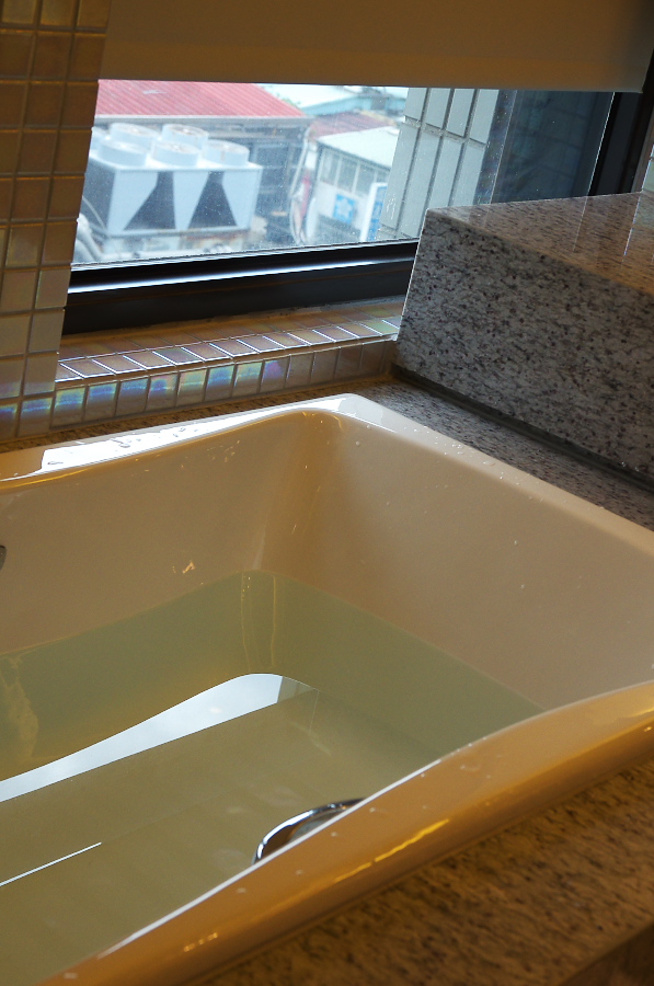 IMGP7183.jpg(260882 byte)