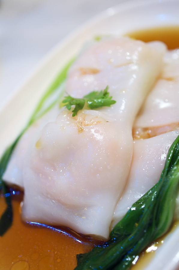 IMGP6795.jpg(221747 byte)