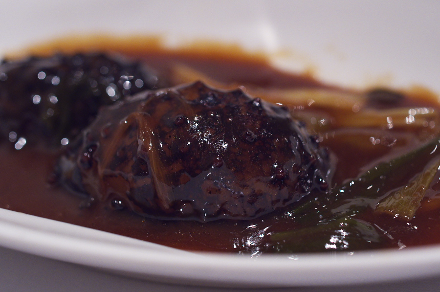 IMGP6864.jpg(258429 byte)