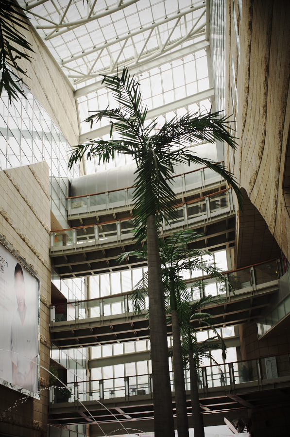 IMGP6898.jpg(405355 byte)