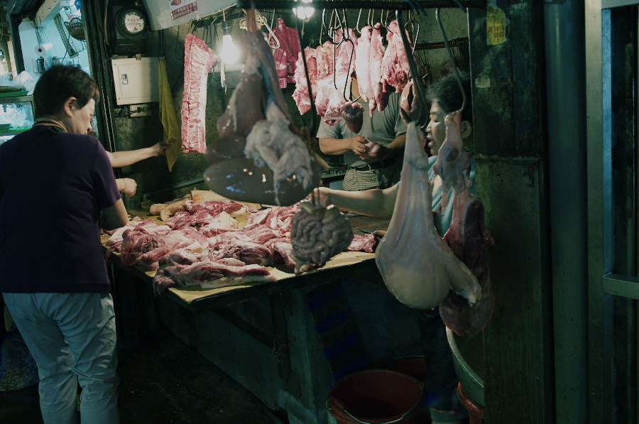 IMGP7247.jpg(315138 byte)