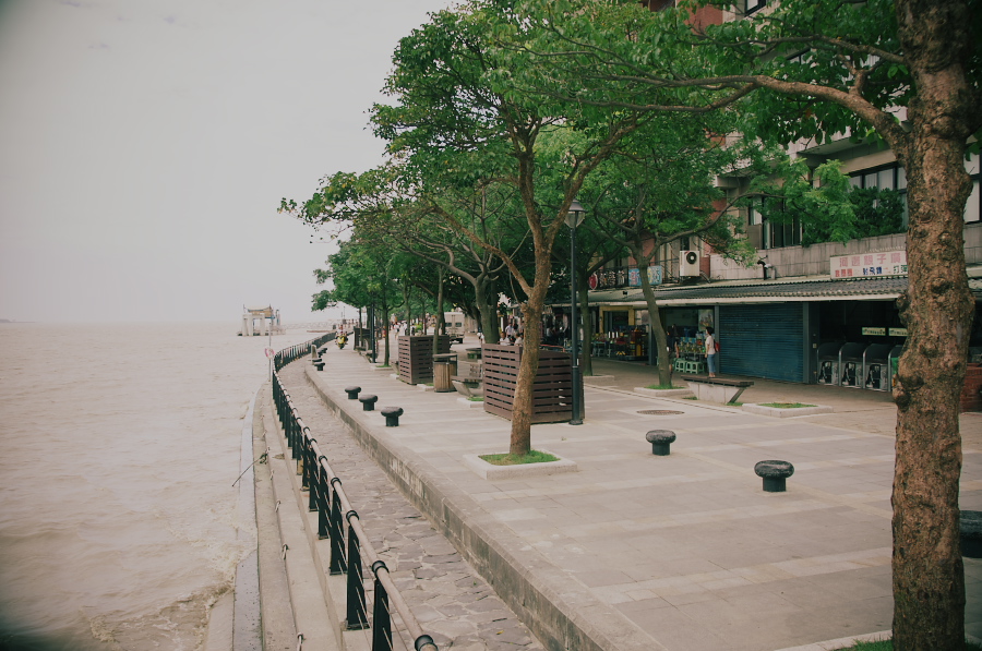 IMGP7258.jpg(336540 byte)