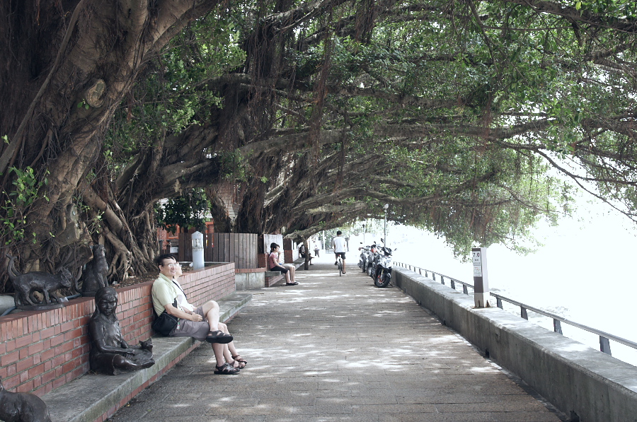 IMGP7287.jpg(471760 byte)