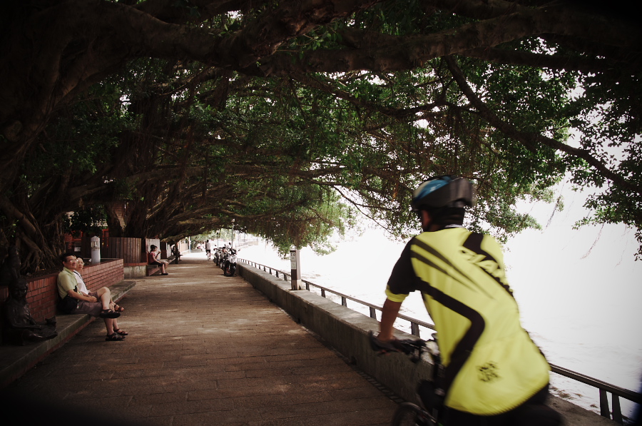 IMGP7289.jpg(367250 byte)