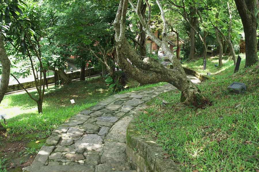 IMGP7302.jpg(652210 byte)