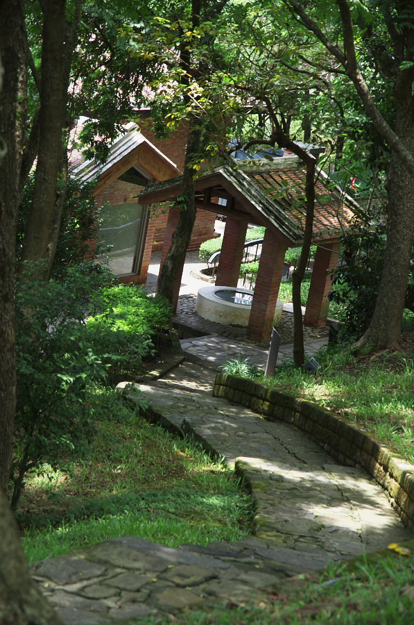 IMGP7307.jpg(481311 byte)