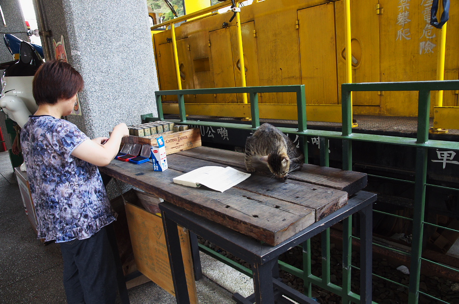 IMGP7729.jpg(416066 byte)