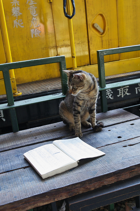 IMGP7730.jpg(382994 byte)