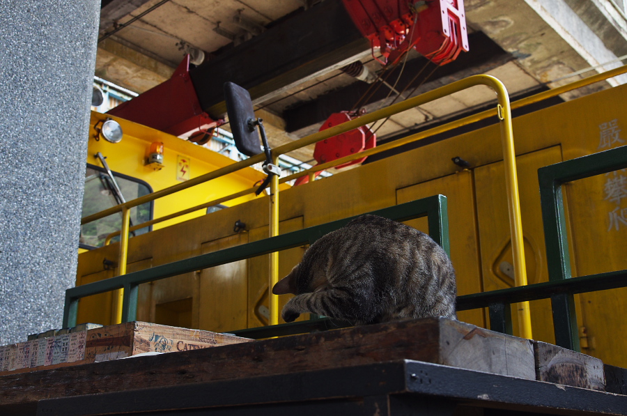 IMGP7734.jpg(345864 byte)