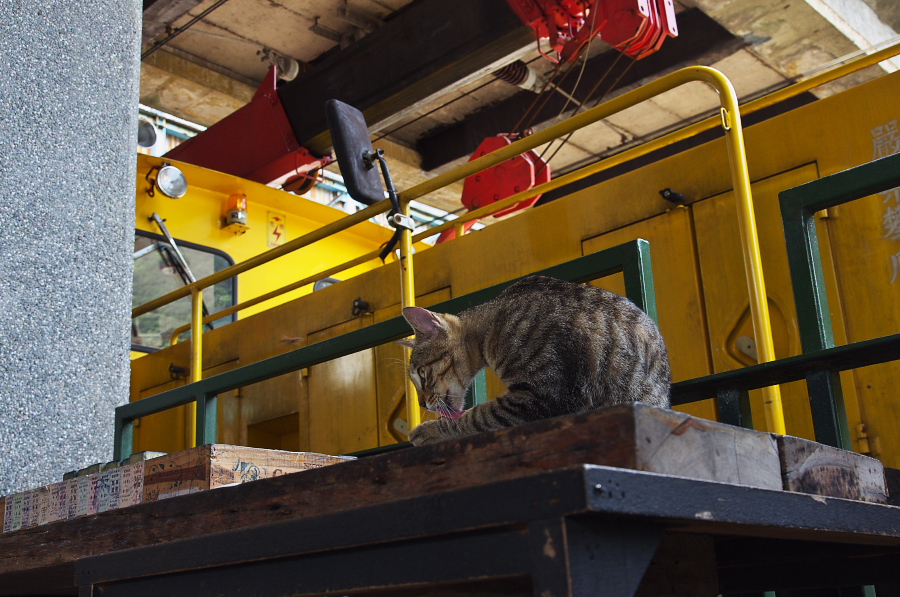 IMGP7736.jpg(370928 byte)